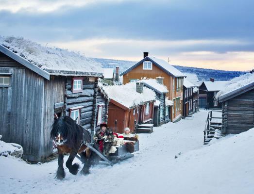 Det blir aktiviteter som Olavsgruva på Røros, Hjortefarm, tur med båten over Femunden i naturskjønne omgivelser og bading