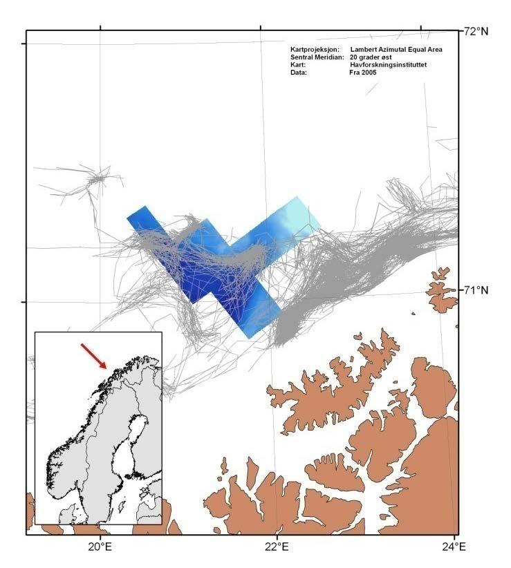 bottom trawling on