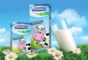 The company started operations in 1976 and has since built the largest distribution network in Vietnam. The most important brand is the «Vinamilk» brand.