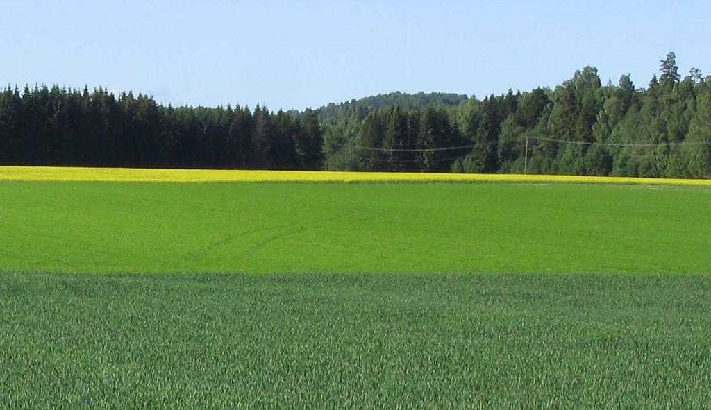 Jordpakker I disse forsøkene var det lite å vinne avlingsmessig ved å bruke plog med jordpakker.