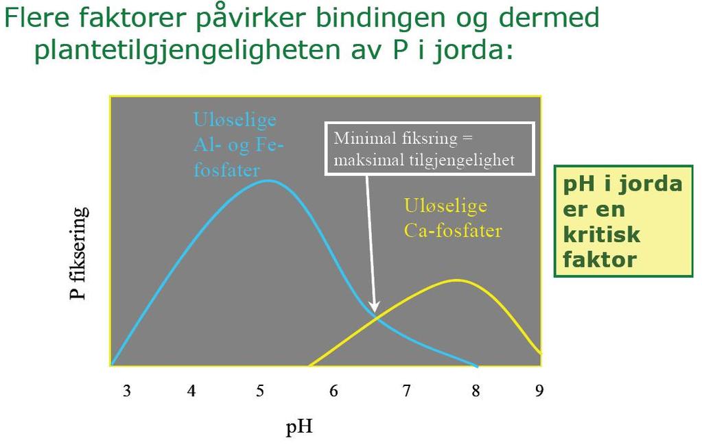 Kalking av sur jord er et viktig tiltak for å utnytte fosforet i jorda best mulig. Når kan vi redusere fosforgjødslingen uten avlingstap?