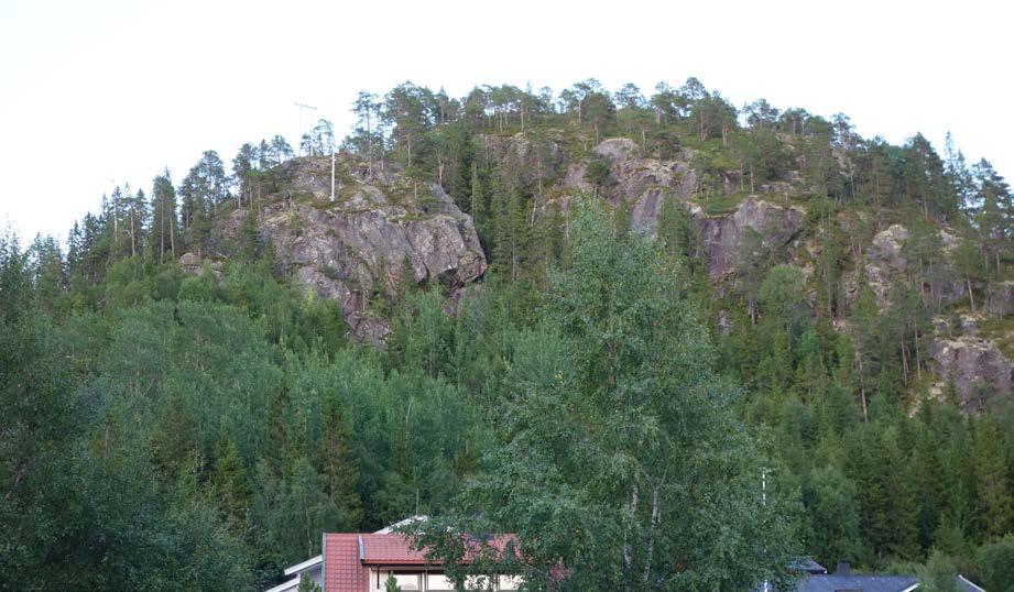 steinskred frå fjellside ved