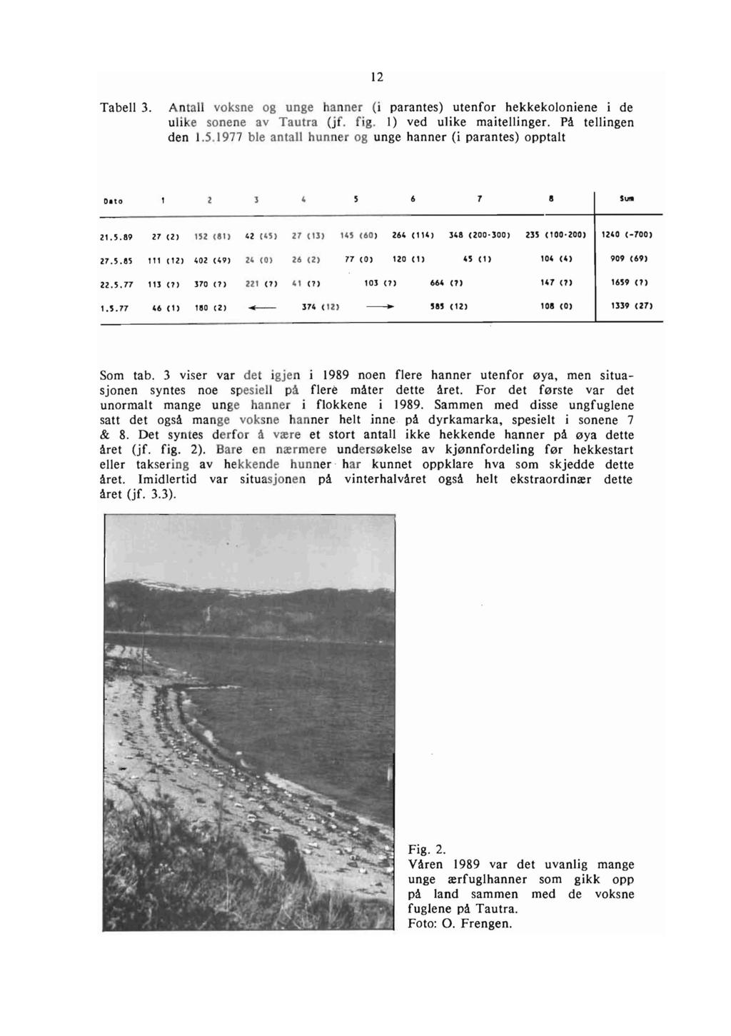 Tabell 3. ntall voksne og unge hanner (i parantes) utenfor hekkekoloniene i de ulike sonene av Tautra (jf. fig. I) ved ulike maitellinger. På tellingen den 1.5.