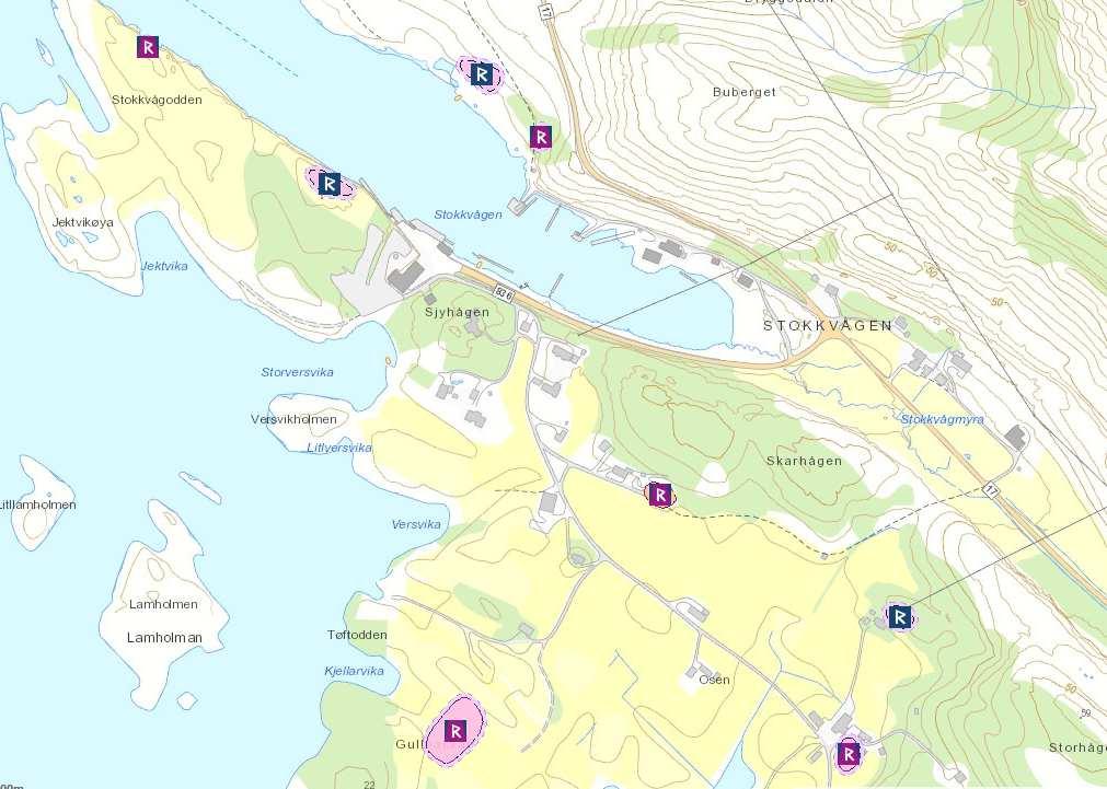 Konsekvenser av næringsaktivitet til naturverdier vil vurderes mer detaljert under reguleringsrunden. Det er ingen registreringer i naturbase akkurat der næringsareal ønskes utvidet.