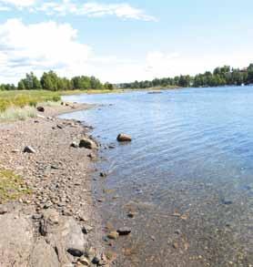 36 Hagebyen I naturlige omgivelser på Fornebu Leveransebeskrivelse fellesarealer IGAGSPARTI / TRAPPEOPPGAGER BLOKKER Inngangsparti og trapper i blokkene blir flislagt.