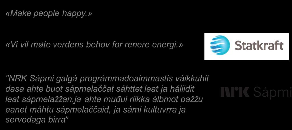 Visjonen synliggjør hva vi kan forvente av Disney, Statkraft og NRK Sápmi. På samme måte ønsker RDM at visjonen vår skal fortelle hva som kan forventes av oss. 3.