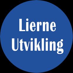 Lierne skal være en kommune der folk trives og vil bo side 11 Kurs for deg som vil starte din egen bedrift eller akkurat har starta bedrift Etablererkurs i Trøndelag har som mål å gi en kort