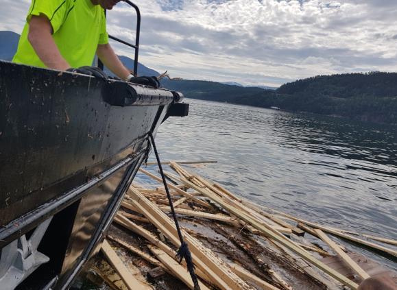 3.4 Naturhendelse i Stryn kommune i Sogn og Fjordane Storflom den 24. juli 2017 førte til mye drivgods i Nordfjorden og det var særlig mye trær, røtter og bygningsmaterialer i sjøen.