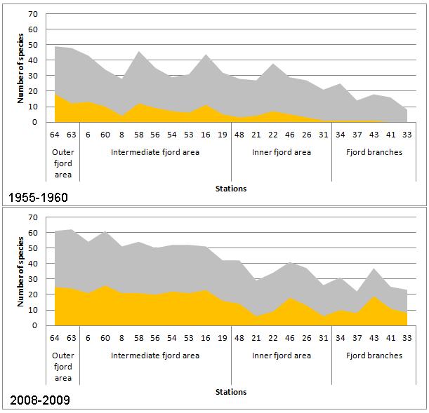 Antall varmekjære arter I Hardangerfjorden i 1955-1960 og i