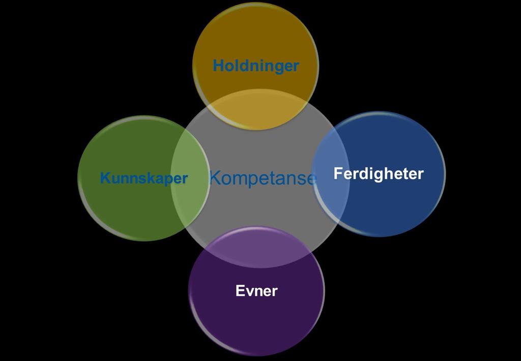 De riktige driverne for utvikling i hele systemer Kapasitetsbygging Kapasitetsbygging handler om de ferdighetene Samarbeid de holdningene de kunnskapene Presis pedagogikk de evnene enkeltindivider og