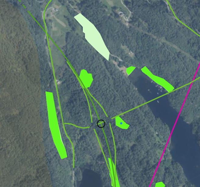 Skjermdump frå det interaktive kartløysinga viser krysset på Drange (t.v.) og Gjøvåg (t.h.) på Tysnes. Viktige naturtypar i grøn farge og grøn line er B-alternativet.