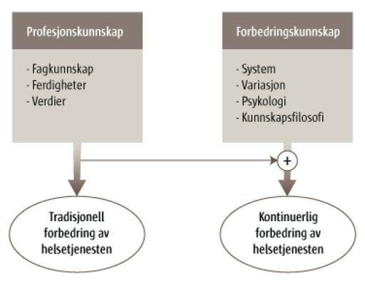 Utgangspunktet Klinikarar trenger ein annan type kompetanse for å forbetre helsetenesta enn den dei får gjennom studiene.