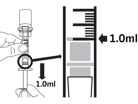 KLARGJØRING FOR INJISERING AV LEGEMIDLET Trinn 15: Fylle sprøyten med 1,0 ml av det klargjorte legemidlet Snu sprøyten og hetteglasset opp ned.