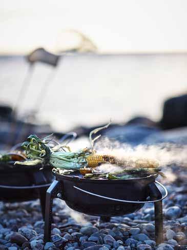 31 Det er få ting som gir mer ro enn en skikkelig fisketur ved sjøen.