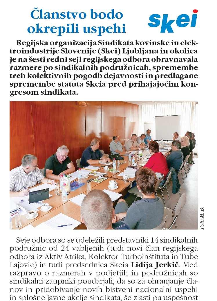 Nadzorni odbor Regijske organizacije SKEI Ljubljane in okolice Rajko Primc upokojen v letu 2010 predsednik NO prosil za razrešitev Brane BOROVIČ-SKEI Hella Saturnus - upokojen REJA Bruno SKEI FOTONA,