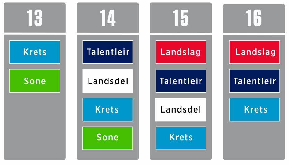 Det har vært en økning av sonelagsaktiviteter fra tidligere år. Ti treninger og tre sonelagsturneringer har i 2017 økt til atten treninger og tre sonelagsturneringer.