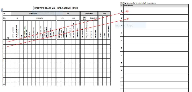 være formålstjenlig å ha klargjort et dokument, eller eventuelt et skjema, som du kan føre observasjonsnotater i.