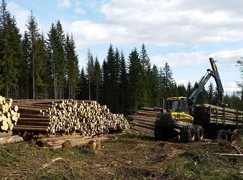 Førsteklasses gran Superwood er 100 % gjennomimpregnert førsteklasses gran fra nordisk skog. En unik, miljøriktig teknologi gir kledningen mangedoblet levetid.