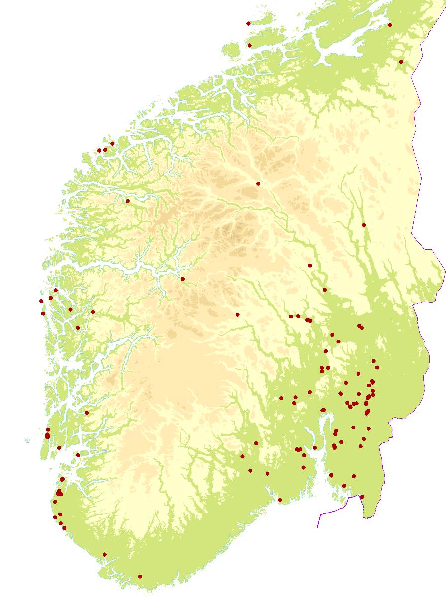 For øvrig er det Jæren, nordlige Karmøy, ytre deler av Nordhordland og Sandøy kommune sør i Møre og Romsdal som utmerker seg med en del funn.