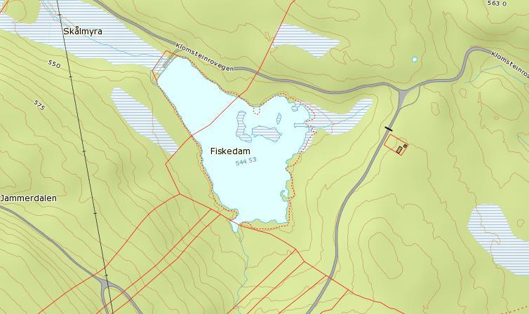 Skålmyrdammen Beliggenhet: Innerst i Klomsteinroa, ca. 6 km sørvest for Birsentrum, Gjøvik kommune. Naturtype: Lite, oppdemt myrtjern i barskogbeltet. Mye flytetorv og brede starrbelter langs kantene.