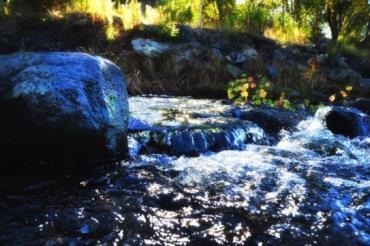 TILTAKSOMRÅDE 11: FÅLEBEKKEN/KAKSRUDBEKKEN FÅLEBEKKEN OG KAKSRUDBEKKEN Vassdrag: Bunnefjorden Tiltaksområde (PURA): 11 Vannforekomst (Vann-nett): 005-30-R Beliggenhet: Ås, Oppegård Vanntype: 11