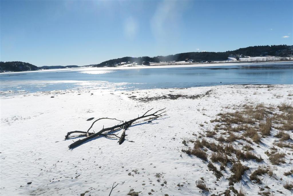 Vedlegg 1: Beskrivelse Ilene Naturreservat og Byfjorden R01/V01 Ilene NR Vernestatus Ilene naturreservat ble opprettet ved kongelig resolusjon av 2. oktober 1981, og forskriften ble siden endret 25.