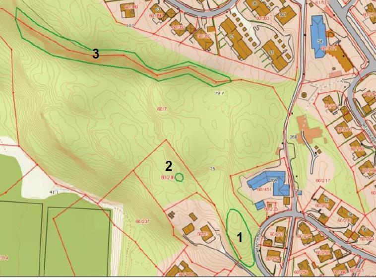Byggeområde for bolig. Eksisterende kunnskap fra deler av området, ellers kjent potensial pga kalkfjell. Det ble gjort en grundig undersøkelse av naturmangfold før offentlig ettersyn. Bl.a. en forekomst av «hul eik».