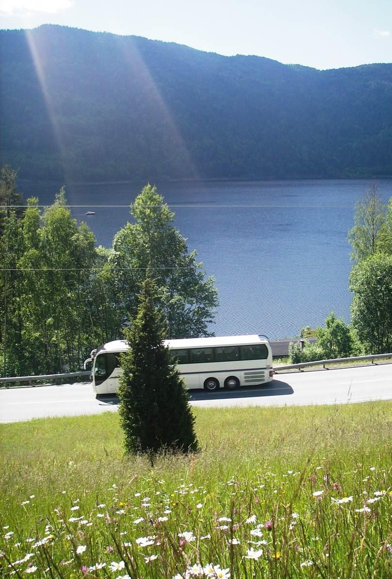 RV 36 parsell Bukti, Seljord Utbedring av RV 36 Slåtteeng inntil