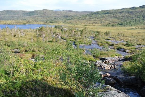 Nedre del av Leneselva med gyte- og oppvekstområde for anadrom fisk har middels til stor verdi. Vannkvalitetsmålinger i Leneselva fra 1990-tallet hadde ph fra 5,5 til 6,5 (http://vannmiljo.