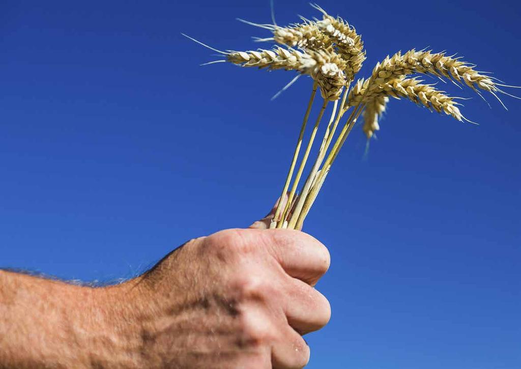 Velkommen til Felleskjøpet Agri og Bedre Landbruk! Etter en særdeles vanskelig innhøsting, er nå alle avlinger i hus.