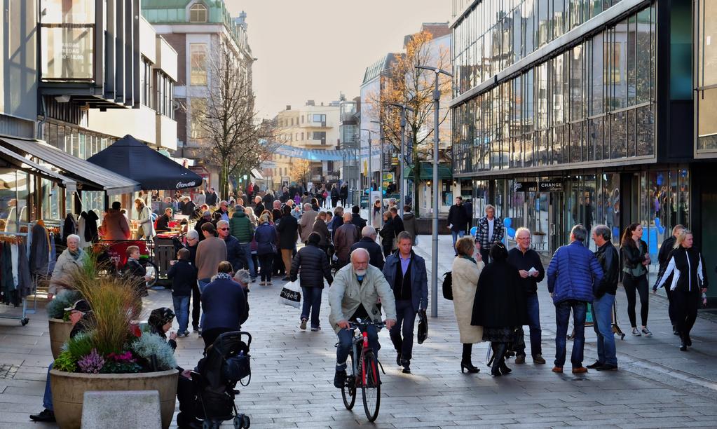 VIJON HVORDN LYE MED PLNEN Den lille verdensbyen Fredrikstad kommune sin visjon er: «Den lille verdensbyen». De to meningsbærende ordene er «Lille» og «Verdensbyen».