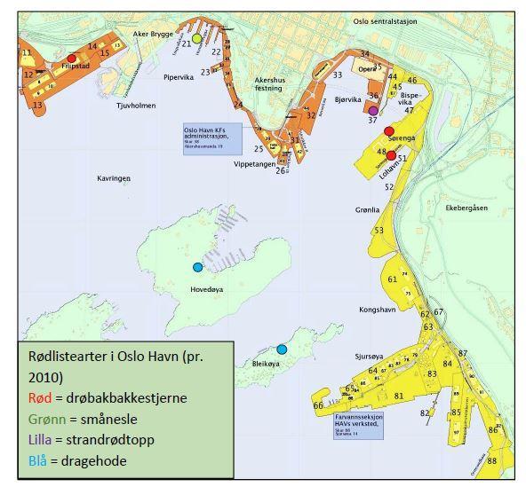 Kartene er hentet fra rapporten «Blågrønn strategi i Oslo