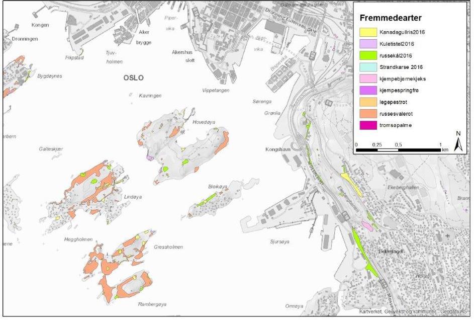 1.3 Fremmede arter rundt og i Oslo Havn Oslo og Akershus har et svært rikt plante- og dyreliv, og gode vilkår for at fremmede arter kan etablere seg.