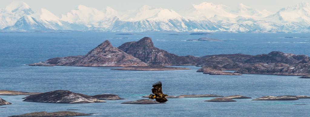 BENJAMIN VIDMAR / SVALBARD.