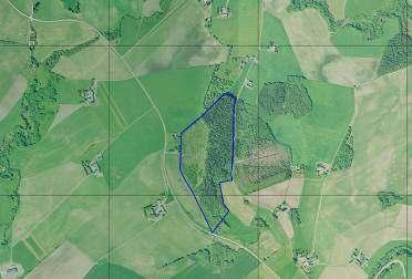 ssikkerhet Deler av et større skogområde som ligger omkranset av dyrka mark. Skogen er nå delvis uthogd. Vestvendt skrånende terreng ned mot riksveg 754. Ingen spesielle.