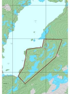 Liten betydning Ingen tilbud Fortetting innenfor område som allerede er noe utbygd med fritidsbebyggelse. Førøvrig er det mye fritidsbebyggelse ved Tomtvatnet, spesielt i sørenden.