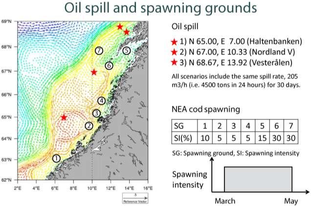 Studie: olje-eksponering av torske-egg og -larver 1 Fire utslippspunkter (alle utslipp varer 30 døgn fom. 1. april) Sju gyteområder (gytingen varer fra 1. mars til 1.