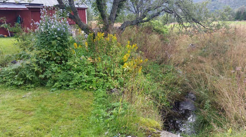 Der et hus blir fjernet på Skotnes vil gang- og sykkelvegen slippes litt løs fra hovedvegen og på den måten bryte opp den lange, rette strekningen.