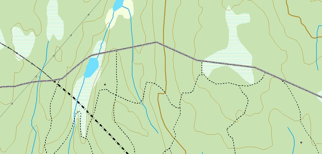 6628000mN 335 Blåfjellet Naturfaglige registreringer i forbindelse med vern av skog