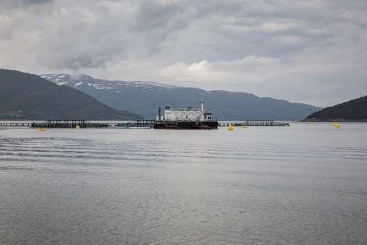 Bakgrunn Skjerstadfjorden utgjør et felles fjordområde beliggende sentralt i grensen mellom kommunene; Bodø, Saltdal og Fauske.