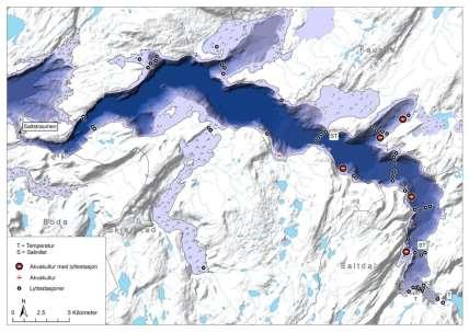 Sjøørretprosjektet i Skjerstadfjorden Prosjektet har bl.a. som mål å si noe om følgende tema: Hvordan sjøørreten fra ulike vassdrag i Bodø, Fauske og Saltdal bruker fjordområdene gjennom året.