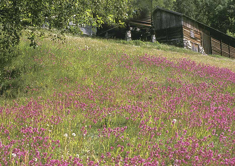 5 jord gir vakre landskap Jordvern er også landskapsvern.