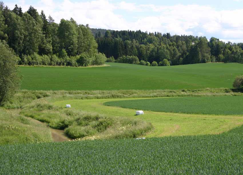 Jord har en viktig plass i kampen mot klimaendringer og forurensing.