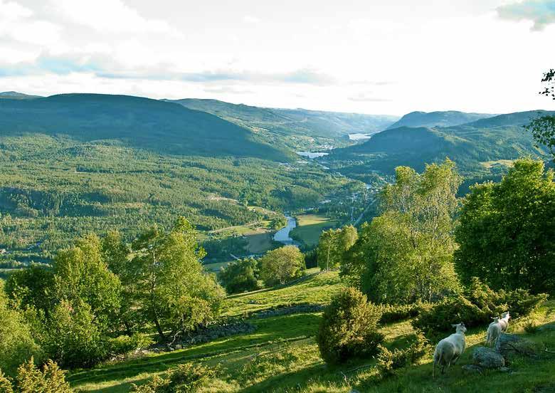 Oktober Norge har en målsetting om å sikre bosetting i hele landet.