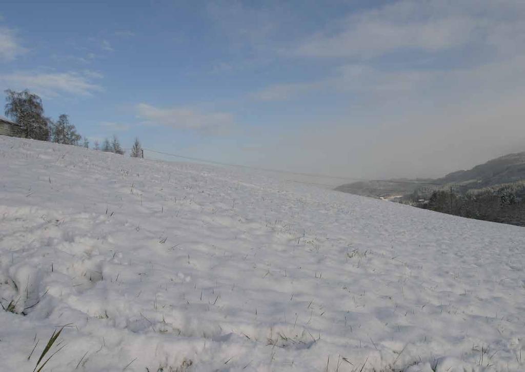 Desember På Kilden finnes informasjon om jordsmonnet på over halvparten av dyrka mark i Norge.