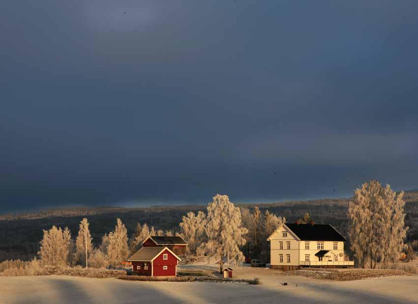 Jordvern, jordlova og matsikkerhet Jordvern er nedfelt i lovverk og retningslinjer. I Jordlovas paragraf 9 står det: Dyrka jord må ikkje brukast til føremål som ikkje tek sikte på jordbruksproduksjon.