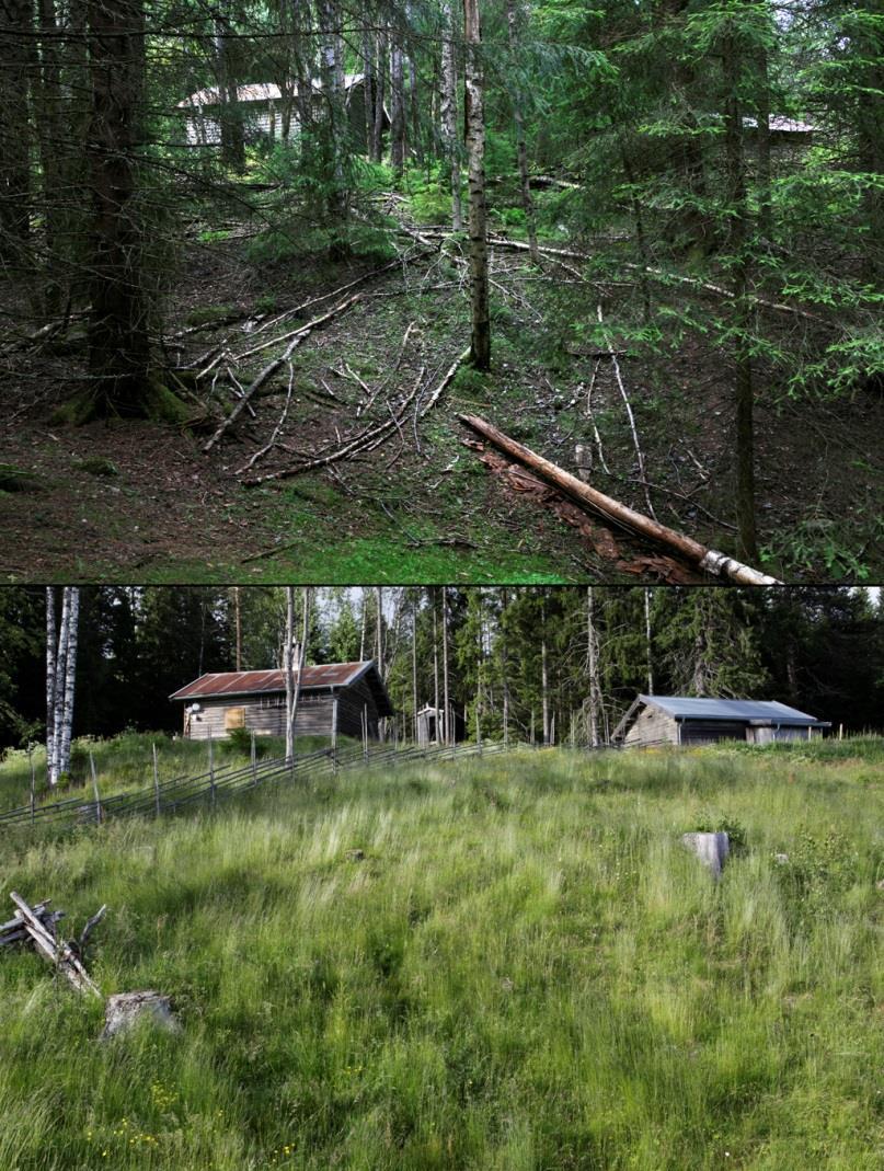 1885 2012: Vermafossene i Romsdalen. 1935-2016. Veiparti ved Borre, Vestfold.