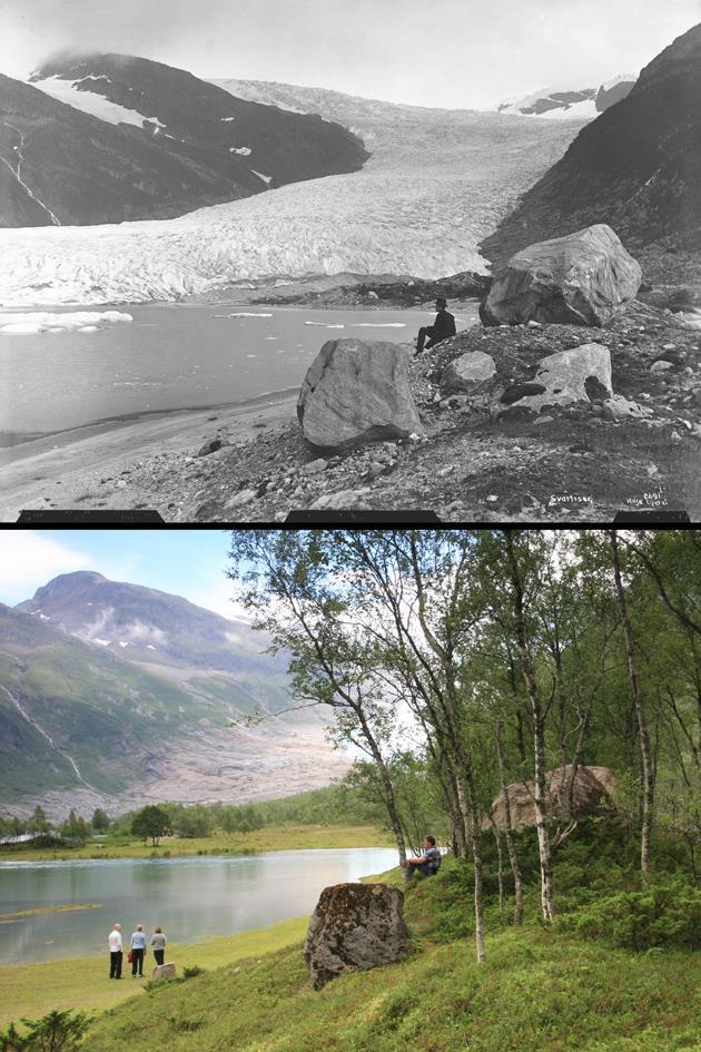 Dokumentasjon av norsk kvartærgeologi og vegetasjonshistorie 1889.