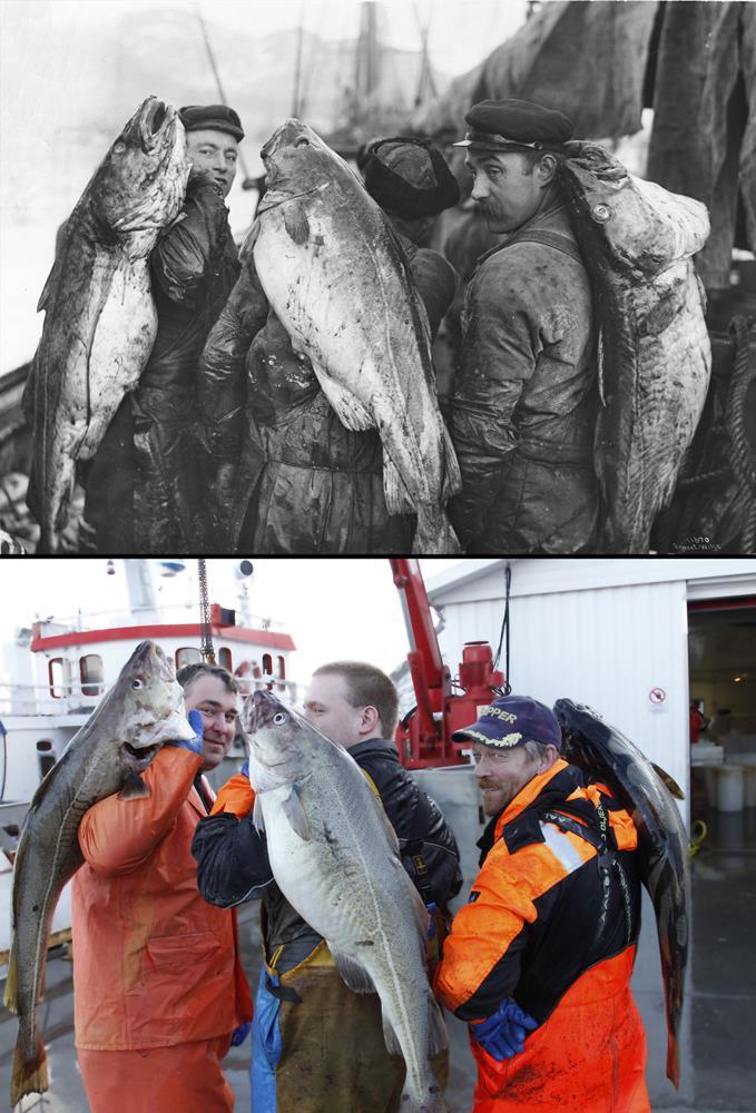 Norske fiskeressurser i ett 100-års perspektiv 1910.