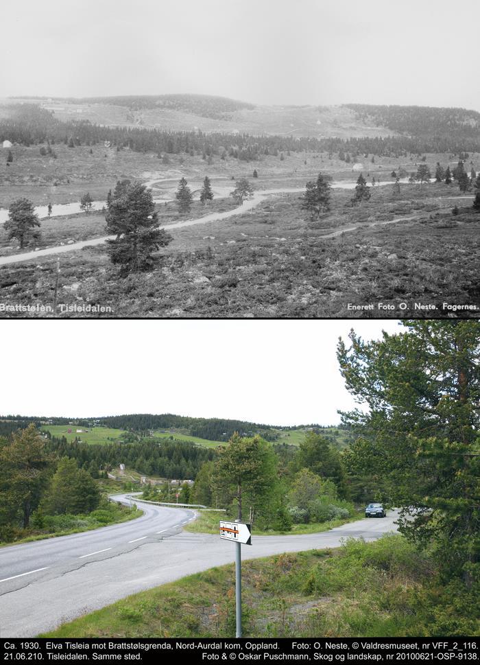 Gjengroing i utmark Ca. 1935. Tisleidalen i Valdres. Nord-Aurdal kommune, Oppland. 1938.